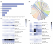 Immune gene ontology fingerprint mapping uncovers targets in GI cancers