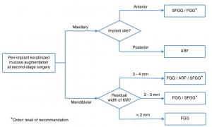 Decision tree of PIKM augmentation at second-stage surgerye.