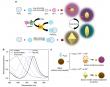 Seeing urea in color: a new way to detect disease at a glance