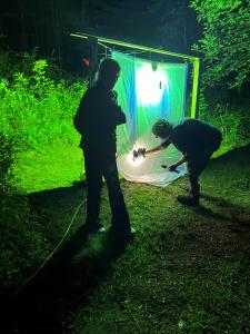 Hocking Hills visitors stalk stunning creatures on a nighttime safari, feed hummingbirds by hand and more 13 Mothing at Butterfly Ridge in Logan, OH.