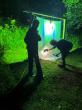 Hocking Hills visitors stalk stunning creatures on a nighttime safari, feed hummingbirds by hand and more