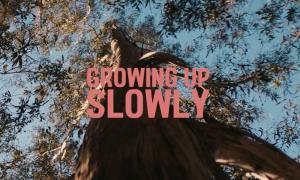 Bright Day - Growing Up Slowly, Play Is The Way - Film and Book