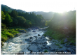 Beating the Heat in Summertime Tokyo: Mountains, Islands, Water Sprinkling and More