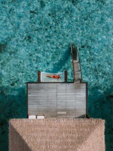 Drifting above the blues at Cinnamon Velifushi Maldives