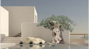 Green Zen Garden Project Dubai