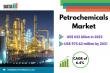 Petrochemicals Market Growth Accelerates Through Innovation, Bio-Based Feedstocks & Circular Economy | DataMIntelligence