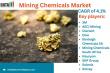 Mining Chemicals Market Report | Latest Developments, Key Segments & Regional Growth 2025 | DataM Intelligence