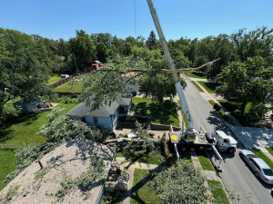 Emergency Tree Service