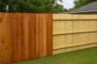 Cedar vs Pine Fencing: A Complete Guide for Southeast Louisiana Homeowners