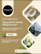 The Mycelia Group Launches Free White Paper Series to Guide Founders On What’s Quietly Killing Revenue