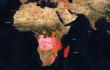 Project $RESCUE says Congo bushfires underline its goals for every community, every victim