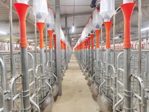 CX Livestock, a premier Chinese manufacturer, delivers advanced solutions for livestock husbandry and construction industries worldwide