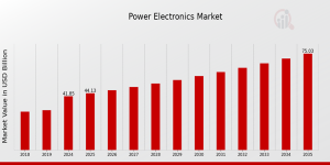 Power Electronics Market share