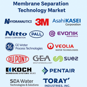 Membrane Separation Technology Market Competitive Analysis