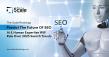 The Scale Rankings Predict The Future Of SEO: AI & Human Expertise Will Rule Over 2025 Search Trends