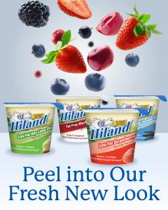 Hiland Dairy Fat Free Yogurt Flavor Options 1