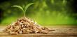 Biomass Pellets Market to Reach USD 10.5 Billion by 2032, Growing at a CAGR of 5.50%