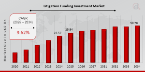 Litigation Funding Investment Market Size