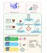 Optimizing Surgical Strategies Through a Nationwide Trial: Insights from a Chinese Neurosurgical Journal Study 
