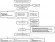 Chinese Neurosurgical Journal Unveils Study on Stroke Risks and Prognosis in Pregnant and Postpartum Women