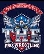 Time Honored Excellence Brings Family-First Pro Wrestling and Local Business Spotlight to Carlisle