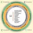 IRI Release V6 of the DarkShield Data Masking Tool to Protect PII in Healthcare, BFSI, AI and DevOps