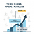 Hybrid Seeds Market to reach USD 137.9 Billion by 2035 with a 7.8% CAGR, driven by technology and large-scale farming