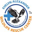 The Evelyn Alexander Wildlife Rescue Center Celebrates its Silver Anniversary with Get Wild! Gala