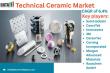 Technical Ceramic Market Trends, Growth Forecast, and Industry Insights 2025 | DataM Intelligence