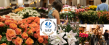 FloristWare Technology Powers SAF Outstanding Varieties Competition