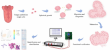 Biomimetic tongues: how cultured organoids are changing flavor detection