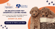 Tulsa Dog Daycare Joins National Clear the Shelters Campaign to Host Big Pet Adoption Event