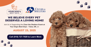 Your Dog's Best Days Pet Adoption Event