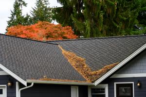 roof in fall