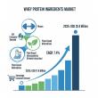 Whey Protein Ingredients Market to Double by 2035: Strategic Solutions for Manufacturers Navigating Demand Surges
