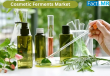 Cosmetic Ferments Market is Expected to Reach a Valuation of USD 7.2 Billion in 2035 | Fact.MR Report