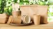 Biodegradable Paper and Plastic Packaging Market Driven by Innovation and Sustainability Push | DataMIntelligence