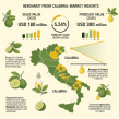 Retail Sales of Bergamot from Calabria in Italy on a Growth Trajectory, Reaching USD 300 Million by 2035