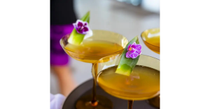 Luxury Lifestyle Dining Experience in San Jose CA--