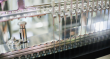 Citi Pharma becomes Pakistan's largest antibiotics producer with new production technology from Xin Weisheng