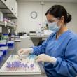 SpeciCare Introduces Cancer Drug Sensitivity Testing to Identify the Most Effective Treatment for Cancer Patients