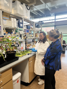 2blades scientist shows corn project to Senator Klobuchar
