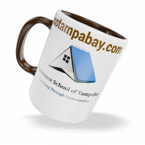 Insurance school of TampaBay Mug