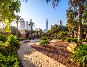 Mulch Improves soil quality, reduces erosion, and protects plant roots from extreme heat.