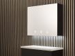 Saniflow Corp. Launches Fully Automated Behind-the-Mirror Hand Washing and Drying System for Public Restrooms