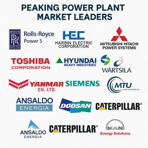 Peaking Power Plant Market Competitive Analysis