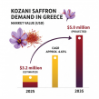 Growth in Premium Spice Demand to Drive Greece’s Kozani Saffron Market to USD 5.0 Million by 2035 | FMI