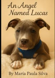 An angel named lucas