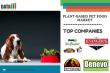 Plant-Based Pet Food Market Trends & Forecast 2024-2031 | USA & Japan Market Updates
