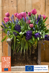 Maximizing Small Spaces 4